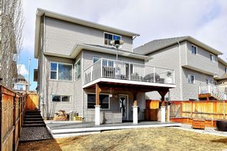 Photo 48: 45 Brightoncrest Heights SE in Calgary: New Brighton Detached for sale : MLS®# A1204365