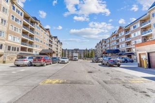 Photo 19: 217 30 Discovery Ridge Close SW in Calgary: Discovery Ridge Apartment for sale : MLS®# A1240266