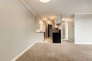 Photo 15: 307 2512 1 Avenue NW in Calgary: West Hillhurst Apartment for sale : MLS®# A2120328