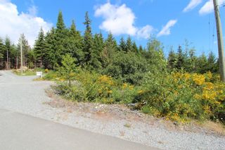 Photo 16: LOT 2 Olympic Dr in Shawnigan Lake: ML Shawnigan Land for sale (Malahat & Area)  : MLS®# 919124