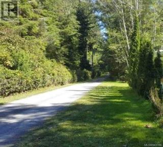 Photo 1: 106 Springhill Rd in Port McNeill: Vacant Land for sale : MLS®# 943196