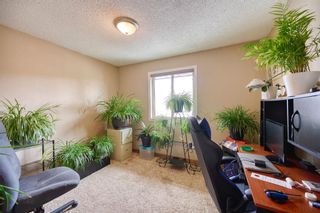 Photo 16: 36 Taylor Way SE: Airdrie Detached for sale : MLS®# A2127850
