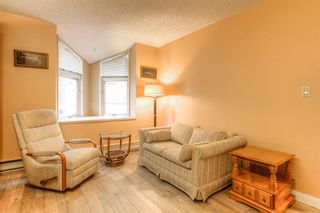 Photo 24: 301 1229 Cameron Avenue SW in Calgary: Lower Mount Royal Apartment for sale : MLS®# A1095141