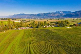 Photo 22: 737 WHATCOM Road in Abbotsford: Abbotsford East House for sale : MLS®# R2471474