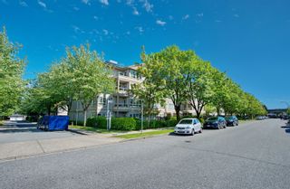 Photo 3: 205 4950 MCGEER Street in Vancouver: Collingwood VE Condo for sale (Vancouver East)  : MLS®# R2704047