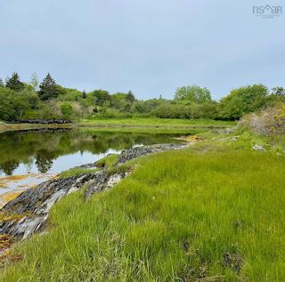 Photo 1: 70 Stonehurst Road in Blue Rocks: 405-Lunenburg County Vacant Land for sale (South Shore)  : MLS®# 202205228