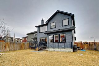 Photo 38: 135 EVANSPARK Terrace NW in Calgary: Evanston Detached for sale : MLS®# C4293070
