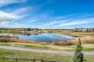 Photo 46: 173 Marquis Point SE in Calgary: Mahogany Detached for sale : MLS®# A1217451