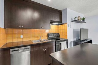 Photo 6: 103 1530 16 Avenue SW in Calgary: Sunalta Apartment for sale : MLS®# A2071661