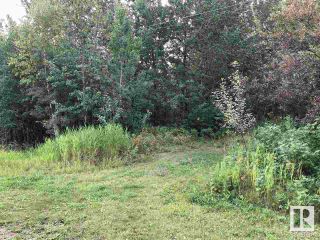 Photo 5: 49 52245 RGE RD 232 Road: Rural Strathcona County Rural Land/Vacant Lot for sale : MLS®# E4295098