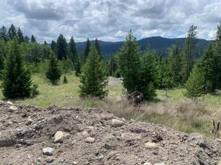Photo 15: 164 APEX DRIVE: Logan Lake Building and Land for sale (South West)  : MLS®# 174346