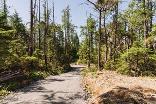 Photo 17: LOT A Hawkes Rd in Ucluelet: PA Ucluelet Land for sale (Port Alberni)  : MLS®# 911701