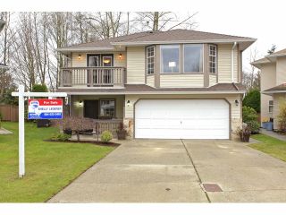 Photo 1: 2706 273B Street in Langley: Aldergrove Langley House for sale in "Shortreed" : MLS®# F1228314