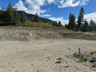 Photo 40: Lots 1 or 3 3648 Braelyn Road in Tappen: Sunnybrae Estates Land Only for sale (Shuswap Lake)  : MLS®# 10310808