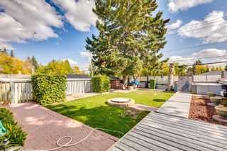 Photo 6: 236 Fairview Drive SE in Calgary: Fairview Detached for sale : MLS®# A2082943