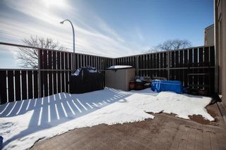 Photo 28: 180 1 Snow Street in Winnipeg: University Heights Condominium for sale (1K)  : MLS®# 202005268