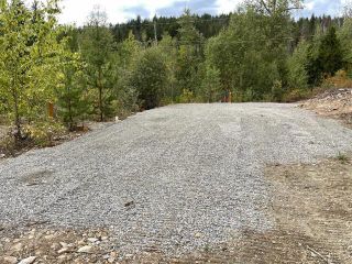 Photo 4: 292 Terry Road, in Enderby: Vacant Land for sale : MLS®# 10239679