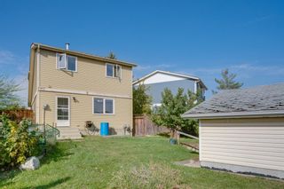 Photo 32: 119 Erin Dale Place SE in Calgary: Erin Woods Detached for sale : MLS®# A1038168
