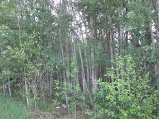 Main Photo: Twp 541a and RR 53: Rural Lac Ste. Anne County Rural Land/Vacant Lot for sale : MLS®# E4244056