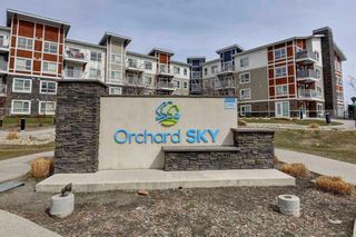 Main Photo: 2320 302 Skyview Ranch Drive NE in Calgary: Skyview Ranch Apartment for sale : MLS®# A2121992