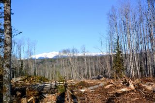 Photo 23: DL 811 16 Highway in New Hazelton: Hazelton Land for sale in "New Hazelton @ Carnaby" (Smithers And Area (Zone 54))  : MLS®# R2679366