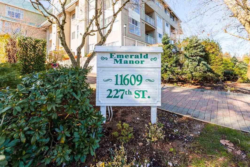 Photo 1: Photos: 508 11609 227 Street in Maple Ridge: East Central Condo for sale in "Emerald Manor" : MLS®# R2438131