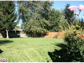 Photo 9: 27021 27B Avenue in Langley: Aldergrove Langley House for sale : MLS®# F1024790