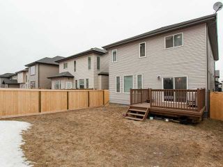 Photo 20: 5119 2 AV SW in : Zone 53 House for sale (Edmonton)  : MLS®# E3407228