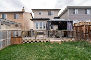 Photo 29: 42 Evansford Circle NW in Calgary: Evanston Detached for sale : MLS®# A2087912