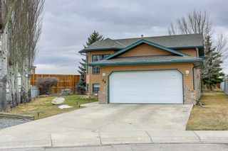 Photo 47: 68 Sunridge Place NW: Airdrie Detached for sale : MLS®# A1207048