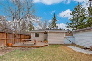 Photo 28: 4635 81 Street NW in Calgary: Bowness Detached for sale : MLS®# A2123270
