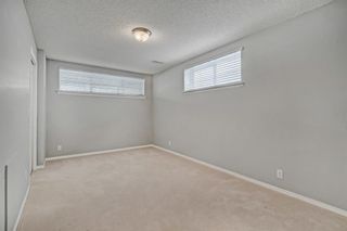 Photo 33: 202 Copperfield Gardens SE in Calgary: Copperfield Detached for sale : MLS®# A2020077