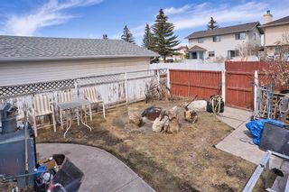 Photo 25: 88 Appletree Crescent SE in Calgary: Applewood Park Detached for sale : MLS®# A2040061