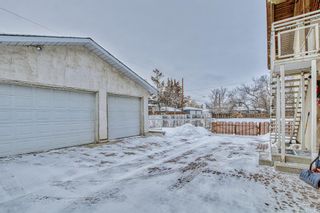 Photo 25: 1301 40 Street SE in Calgary: Forest Lawn Detached for sale : MLS®# A2022728