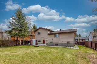 Photo 27: 379 Whitlock Way NE in Calgary: Whitehorn Detached for sale : MLS®# A1217820