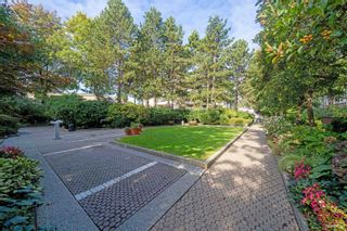 Photo 26: 402 518 MOBERLY Road in Vancouver: False Creek Condo for sale in "THE NEWPORT QUAY" (Vancouver West)  : MLS®# R2823630