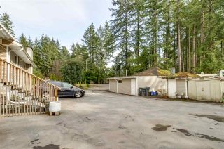 Photo 4: 2963 202 Street in Langley: Brookswood Langley House for sale : MLS®# R2276399