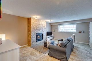 Photo 28: 112 Sunlake Circle SE in Calgary: Sundance Detached for sale : MLS®# A1182136