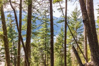 Photo 19: Lot A WALKERS LANDING ROAD in Kootenay Bay: Vacant Land for sale : MLS®# 2469816