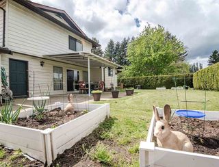 Photo 31: 6225 EDSON Drive in Chilliwack: Sardis West Vedder Rd House for sale (Sardis)  : MLS®# R2576971