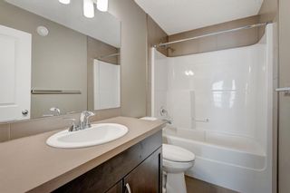 Photo 33: 4 Evansview Park NW in Calgary: Evanston Detached for sale : MLS®# A2029589