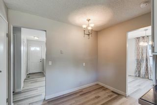 Photo 14: 236 QUEEN CHARLOTTE Way SE in Calgary: Queensland Detached for sale : MLS®# A1025137