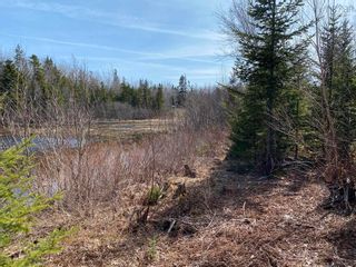 Photo 30: Lot 20 Lakeside Drive in Little Harbour: 108-Rural Pictou County Vacant Land for sale (Northern Region)  : MLS®# 202304930