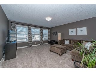 Photo 22: 12 ROCKFORD Terrace NW in Calgary: Rocky Ridge House for sale : MLS®# C4050751