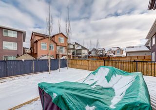 Photo 50: 108 Evansridge Place NW in Calgary: Evanston Detached for sale : MLS®# A2035643