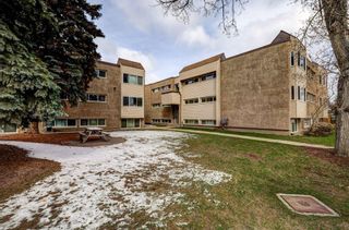 Photo 29: 237 8239 Elbow Drive SW in Calgary: Chinook Park Apartment for sale : MLS®# A2122815