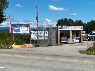Photo 2: 3600 NO. 6 Road in Richmond: East Richmond Agri-Business for sale : MLS®# C8045768