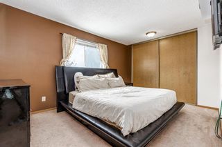 Photo 13: 143 Erin Road SE in Calgary: Erin Woods Detached for sale : MLS®# A1204984