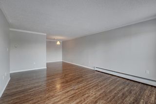 Photo 3: 117 816 89 Avenue SW in Calgary: Haysboro Apartment for sale : MLS®# A2022209