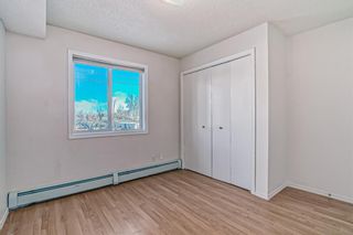 Photo 24: 1216 6224 17 Avenue SE in Calgary: Red Carpet Apartment for sale : MLS®# A2011855